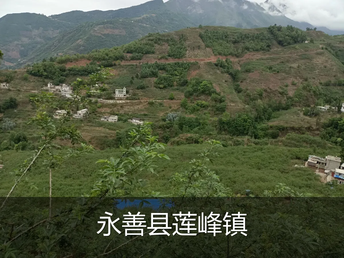 永善县莲峰镇